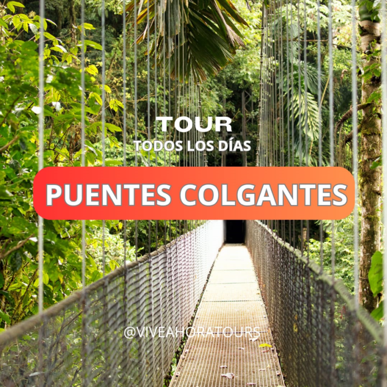 PUENTES COLGANTES