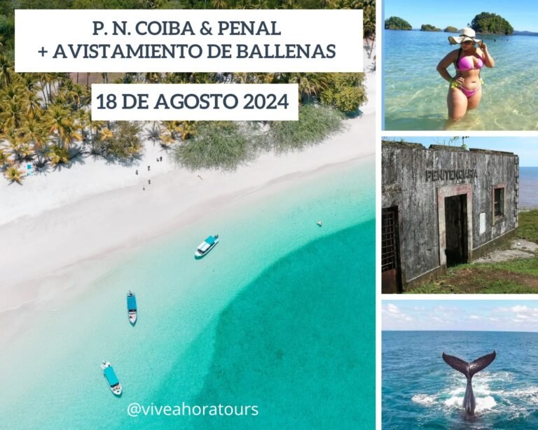 COIBA, VISITA A PENAL & AVISTAMIENTO DE BALLENAS