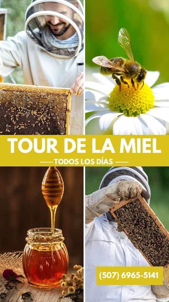 TOUR DE LA MIEL