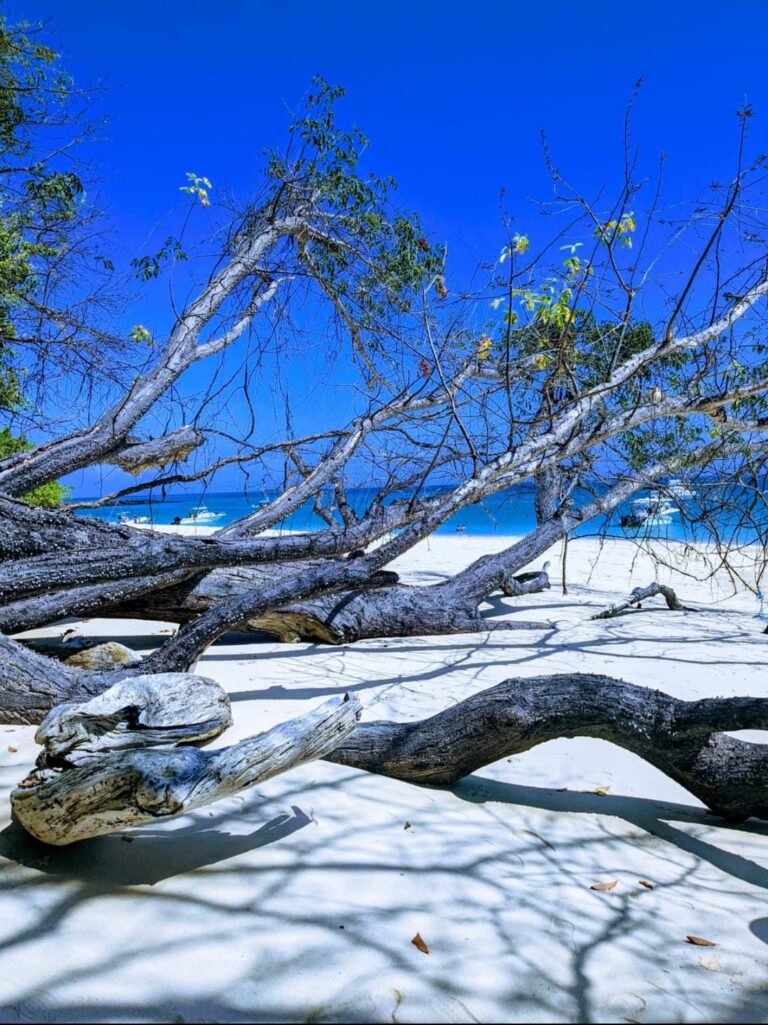 🌴ISLA MOGO MOGO🌴ARCHIPIÉLAGO DE LAS PERLAS