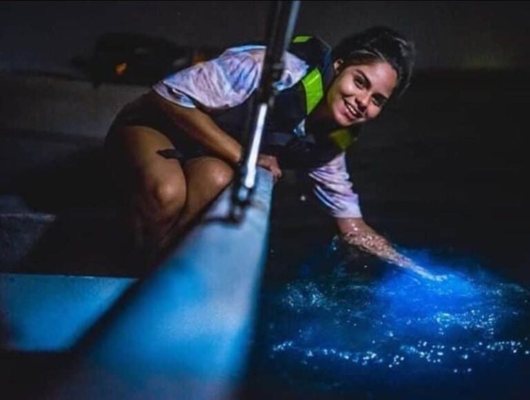 TOUR DE BIOLUMINISCENCIA BOCAS DEL TORO