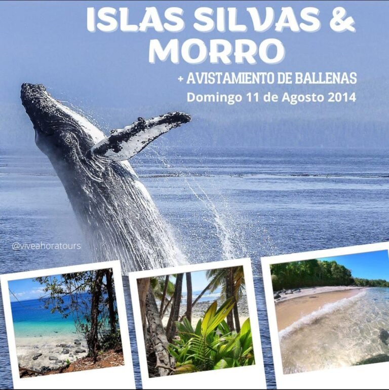 ISLAS SILVA AFUERA Y MORRO NARANJO