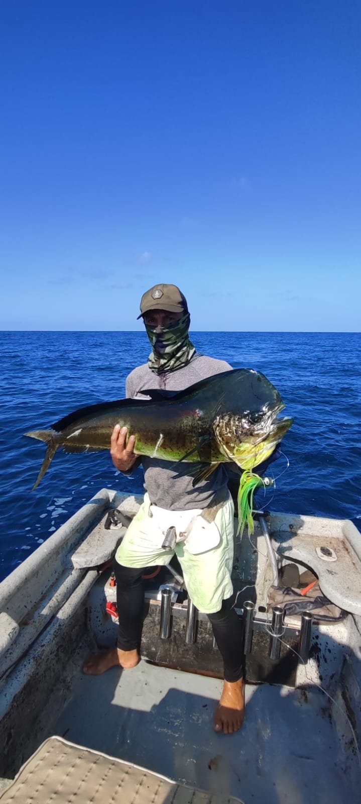 PESCA EN GOLFO DE CHIRIQUÍ