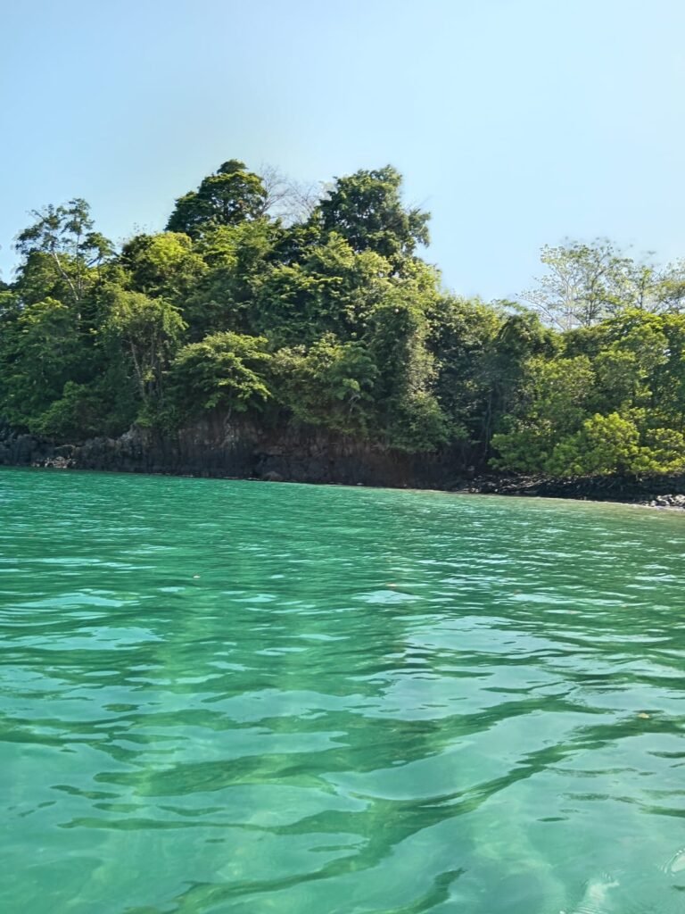 TOUR PACÍFICO MÁGICO + AVISTAMIENTO DE BALLENAS